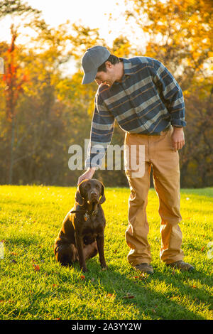 Mann petting chocolate Labrador im Feld im Herbst Stockfoto