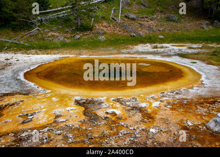 Orange Hot Spring im Yellowstone Farben von thermophilen Bakterien verursacht Stockfoto