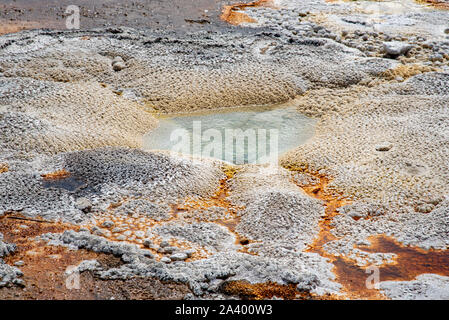 Orange und Weiß heißer Frühling in Yellowstone der Yellowstone National Park Stockfoto