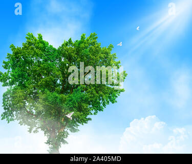 Herzförmige Baum über den Wolken. Baum des Lebens Konzept. Stockfoto