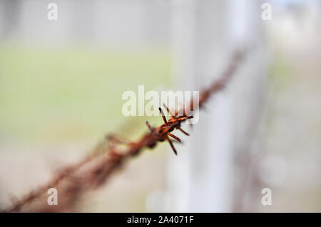 Stacheldraht Detail eines Konzentrationslagers Stockfoto