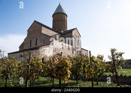 Alawerdi, Georgia. 08 Okt, 2019. Reben werden auf dem Bauernhof der Alawerdi Kloster in der Region Kachetien gewachsen. Das Kloster wurde im 4. Jahrhundert von Susanne von Alawerdi gegründet. Im 11. Jahrhundert einen neuen, größeren Kirche des Klosters wurde von Kwirike III. (König von kacheti). Dieses Gebäude ist immer noch die wichtigste Kirche des Klosters und Alawerdi Alawerdi ist wie die Kathedrale bekannt. Quelle: Bernd von Jutrczenka/dpa/Alamy leben Nachrichten Stockfoto