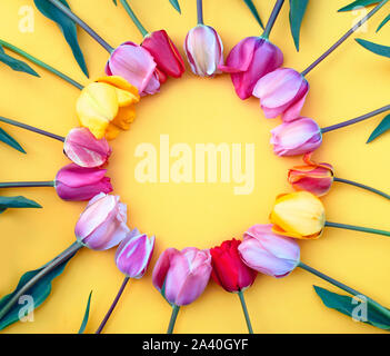 Runde Rahmen aus rosa und gelbe Tulpen, auf einem gelben Hintergrund. Muttertag oder Ostern Grußkarten-Konzept. Kopieren Sie Platz für Text. Stockfoto