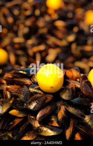 Bereit zu essen, Muscheln mit würzigen gekochten Reis und Zitrone gefüllt. Street Food Konzept. Mittelmeerraum. Traditionelle in der Türkei. Selektive konzentrieren. Stockfoto