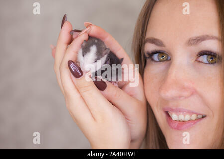 Der Begriff der Freundschaft zwischen Mensch und Ratte. Ein schönes Mädchen hält Mäuse in die Arme. Ein Porträt einer Frau mit Nagetieren. Stockfoto
