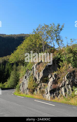 Eine geteerte Landstraße verläuft durch die ländliche Landschaft auf der Insel Osterøy im Kreis Vestland, Norwegen. Stockfoto