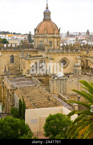 Vista de la Catedral desde el Alcazar. Jerez de la Frontera. Provincia Cadiz. Andalusien. España Stockfoto