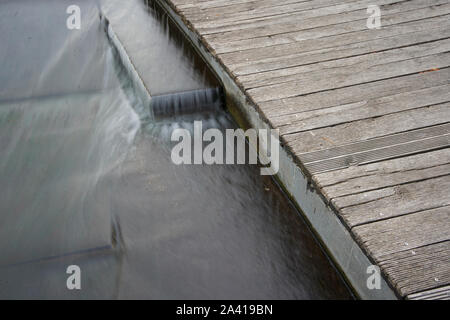 Ein Stream ist auf der Mühle Insel in Bydgoszcz, Polen, die am 9. Oktober 2019 gesehen. Stockfoto