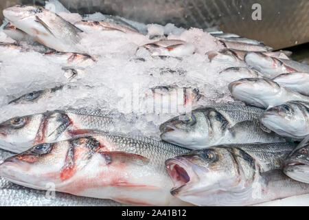 Frischer Seebarsch, Dicentrarchus labrax, auf Anzeige auf einer britischen Fischhändler Marktstand Stockfoto