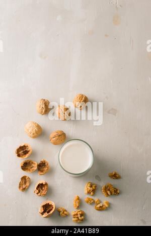 Organische Nussbaum Muttern und Glas Nussbaum Milch auf Stein Hintergrund. Stockfoto