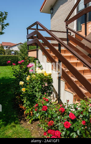 Schöne rote Rose mit grünen Blättern in einem Garten. Spanien, Europa Stockfoto