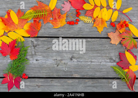 Herbsthintergrund mit bunten Blättern auf Holzbrett mit Copyspace. Stockfoto
