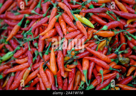 Indonesien Sumba Pasar Inpres Matawai-Mix von Chili peppers Stockfoto