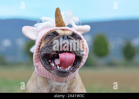 Lustige gähnen Französische Bulldogge Hund mit Mund weit offen tragen rosa Einhorn hut Kostüm Stockfoto