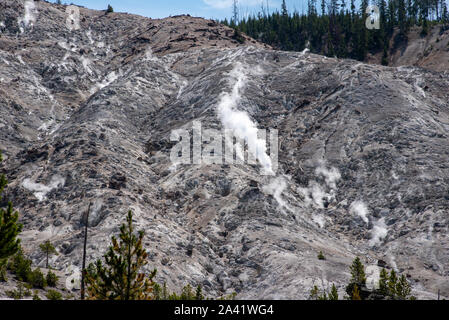 Dampfende Fumarolen am prasselnden Berge in Yellowstone Stockfoto