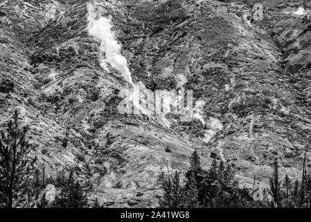 Dampfende Fumarolen am prasselnden Berge in Yellowstone Stockfoto