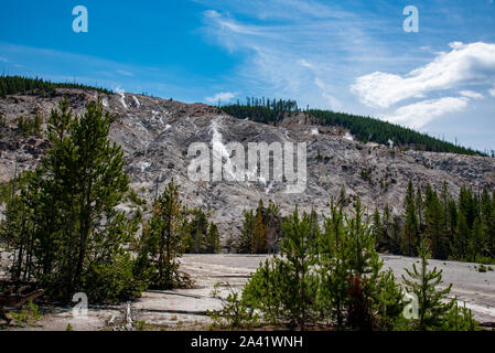 Dampfende Fumarolen am prasselnden Berge in Yellowstone Stockfoto