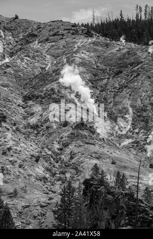 Dampfende Fumarolen am prasselnden Berge in Yellowstone Stockfoto