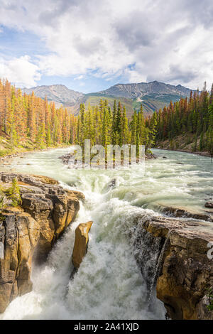 Sunwapta Falls im Jasper National Park Stockfoto