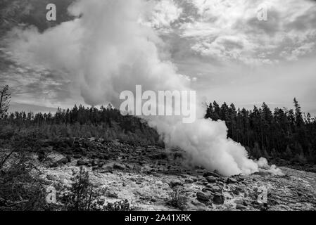 Steamboat Geysir beim Ausbruch in der Norris Geyser Basin im Yellowstone Stockfoto