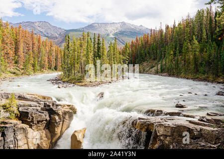 Sunwapta Falls im Jasper Nationalpark Stockfoto