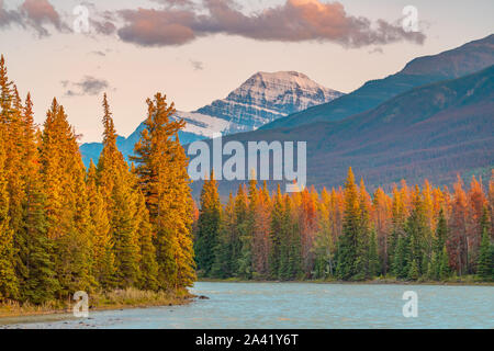 Herbst Landschaft in den kanadischen Rockies Stockfoto
