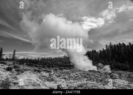 Steamboat Geysir beim Ausbruch in der Norris Geyser Basin im Yellowstone Stockfoto