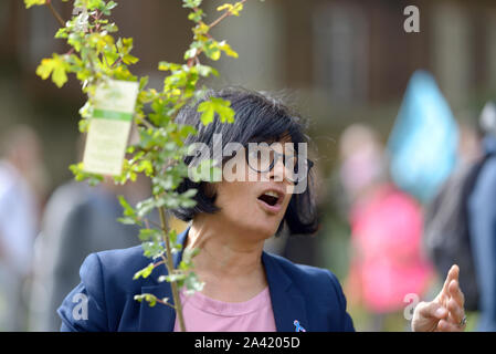 Thangam Debbonaire MP (Lab: Bristol West) zur Annahme von einem Baum in Westminster als Teil einer Aussterben Rebellion Kampagne, Aufteilung, einen Baum zu jedem MP i Stockfoto