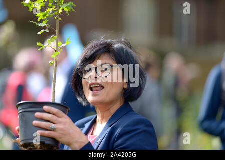 Thangam Debbonaire MP (Lab: Bristol West) zur Annahme von einem Baum in Westminster als Teil einer Aussterben Rebellion Kampagne, Aufteilung, einen Baum zu jedem MP i Stockfoto