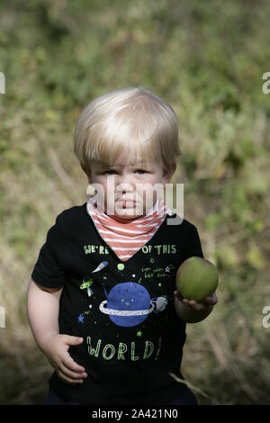 Junge männliche Kleinkind Kind mit Apfel im Orchard Stockfoto