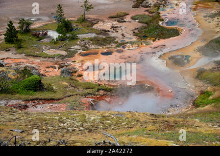 Blick auf die heissen Quellen und Geysire von Künstlern painpots Bereich in Yellowstone Stockfoto