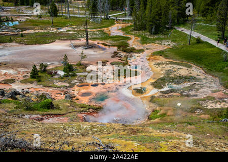 Blick auf die heissen Quellen und Geysire von Künstlern painpots Bereich in Yellowstone Stockfoto