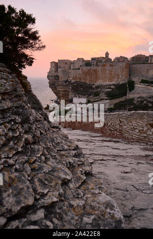 Der Küstenweg zu den Kalkstein Klippe Zitadelle Stadt Bonifacio liegt an der südlichen Spitze von der französischen Insel Korsika in der Dämmerung - Corse du Sud Frankreich Stockfoto