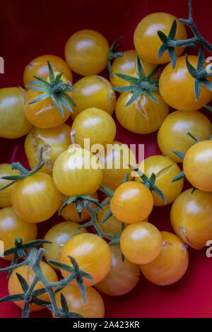 Nahaufnahme von Cherry Tomaten mit einem roten Hintergrund. Stockfoto