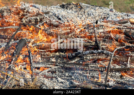 Hintergrund der Feuer Feuer und Asche. Wildfire abstrakt Hintergrund mit Kopie Raum Stockfoto