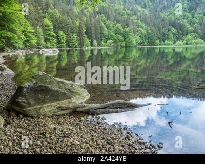 Feldsee im Schwarzwald Stockfoto