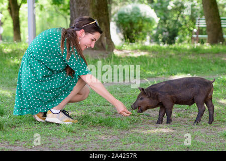 Mädchen Feeds ein kleines Schwein. in einer grünen Wiese. Das Konzept der Nachhaltigkeit, der Liebe zur Natur, die Achtung für den Frieden und die Liebe zu Tieren. Ökologische Stockfoto