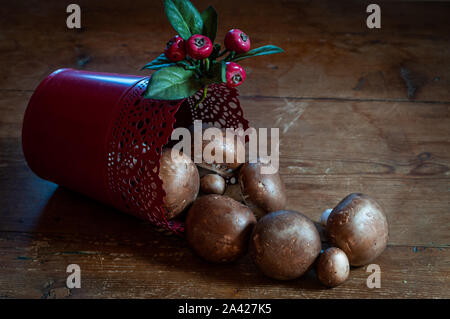 Braun Paris oder Portobello Pilze aus einem roten Container auf einem Holztisch. Stockfoto