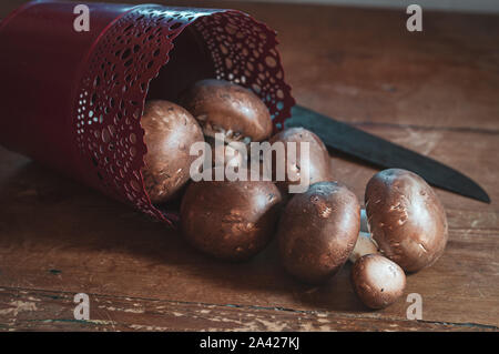 Braun Paris oder Portobello Pilze aus einem roten Container auf einem Holztisch mit einem Messer Stockfoto