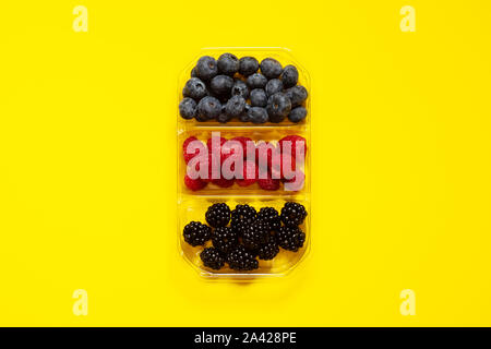 Flatlay Gruppe von frischen Heidelbeeren, Himbeeren und Brombeeren in einem transparenten Kunststoffbehälter in einem gelben Hintergrund aus dem angesehen isoliert Stockfoto