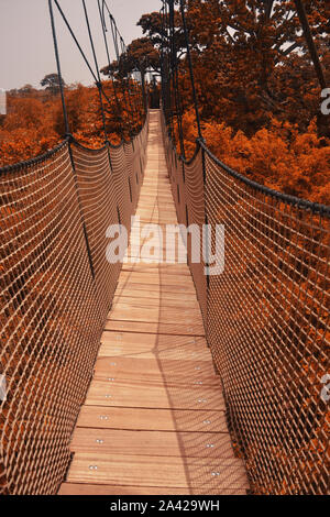 Suspension Bridge Stockfoto