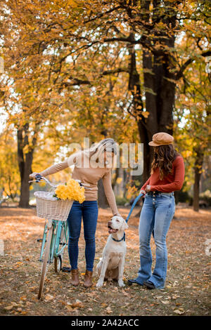 Zwei junge weibliche Freunde zu Fuß in den gelben Herbst park mit Hund und Fahrrad Stockfoto