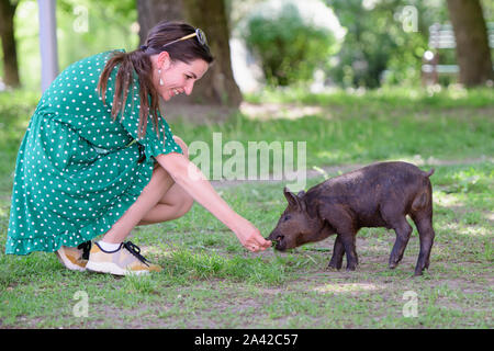 Mädchen Feeds ein kleines Schwein. in einer grünen Wiese. Das Konzept der Nachhaltigkeit, der Liebe zur Natur, die Achtung für den Frieden und die Liebe zu Tieren. Ökologische Stockfoto