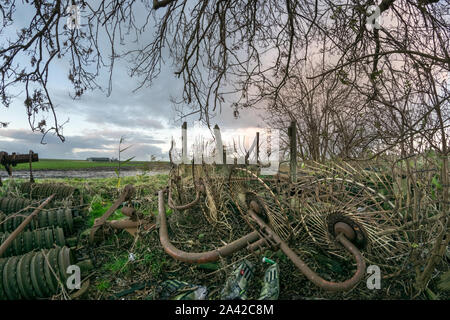 Rostigen alten landwirtschaftlichen Maschinen unter einem Baum in der holländischen Landschaft verlassen Stockfoto