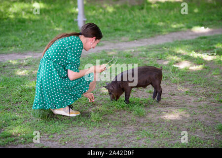 Mädchen Feeds ein kleines Schwein. in einer grünen Wiese. Das Konzept der Nachhaltigkeit, der Liebe zur Natur, die Achtung für den Frieden und die Liebe zu Tieren. Ökologische Stockfoto