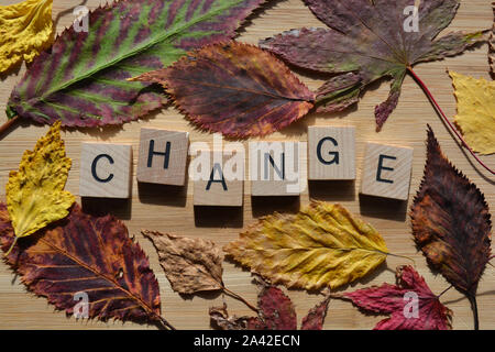 Ändern Sie in der 3D-Holz- Buchstaben des Alphabets durch die Blätter im Herbst in verschiedenen Formen und Farben des Herbstes umgeben, auf einem Bambus Vorstand Hintergrund Stockfoto