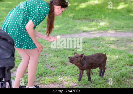 Mädchen Feeds ein kleines Schwein. in einer grünen Wiese. Das Konzept der Nachhaltigkeit, der Liebe zur Natur, die Achtung für den Frieden und die Liebe zu Tieren. Ökologische Stockfoto