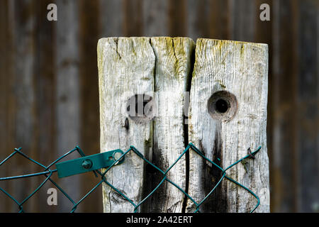 Alte fechten Post, sieht aus wie ein Gesicht Stockfoto