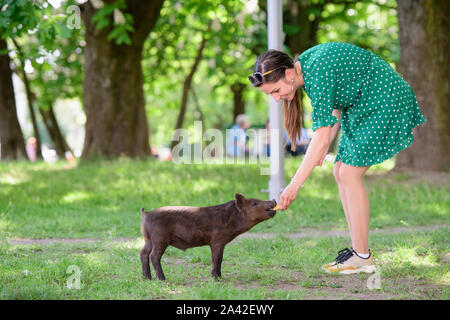 Mädchen Feeds ein kleines Schwein. in einer grünen Wiese. Das Konzept der Nachhaltigkeit, der Liebe zur Natur, die Achtung für den Frieden und die Liebe zu Tieren. Ökologische Stockfoto