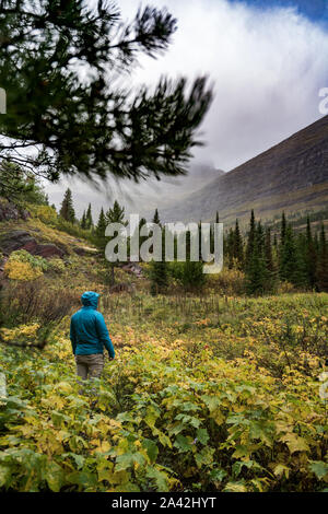 Eine Person in einer blauen Jacke mit einer erstaunlichen Landschaft im Hintergrund mit Fall calors, Montana. Stockfoto